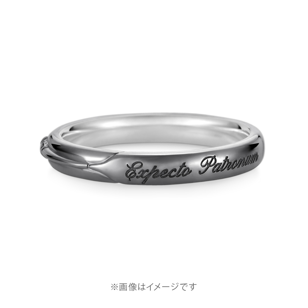 ハリー・ポッターHarry Potter Ring K18ホワイトゴールド（ブラックコーティング）