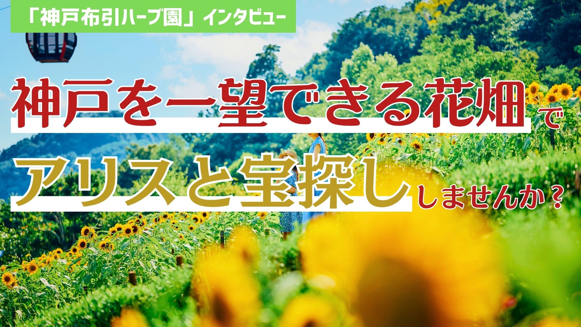神戸を一望できる花畑で、アリスと宝探ししませんか？　コラボイベントの舞台裏に迫る！